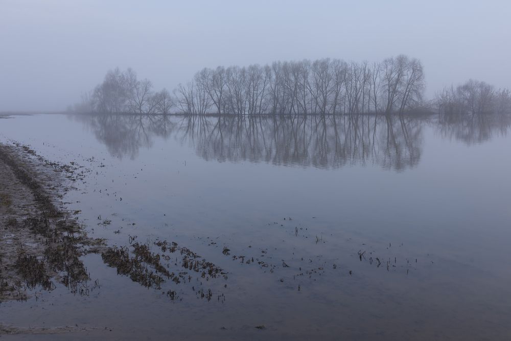 Photograph by Viktor Korotnev