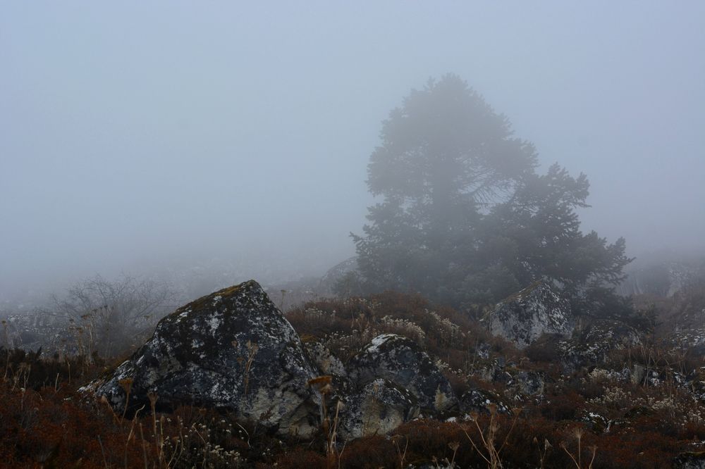 Photograph by Анатолий Орлов