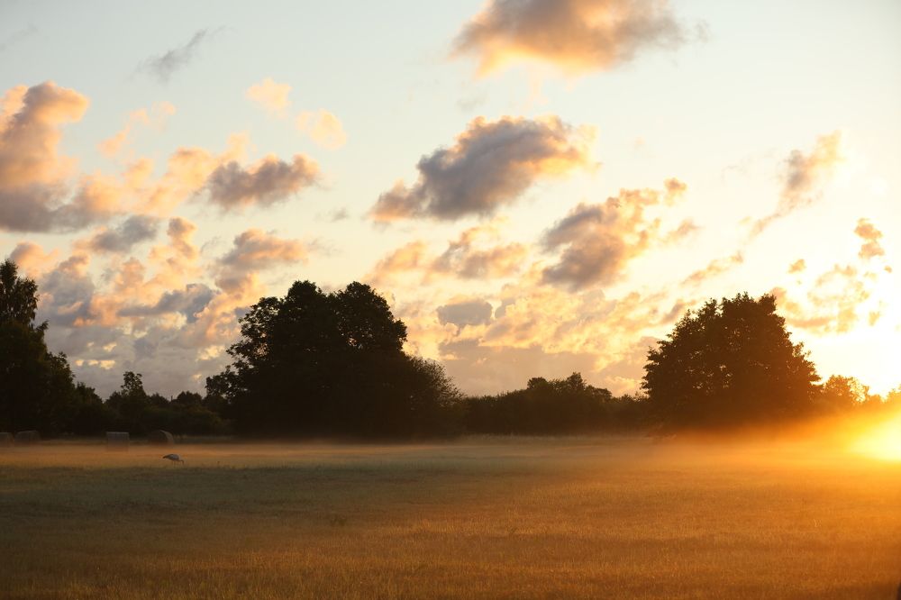 Photograph by Мария Kокоревич