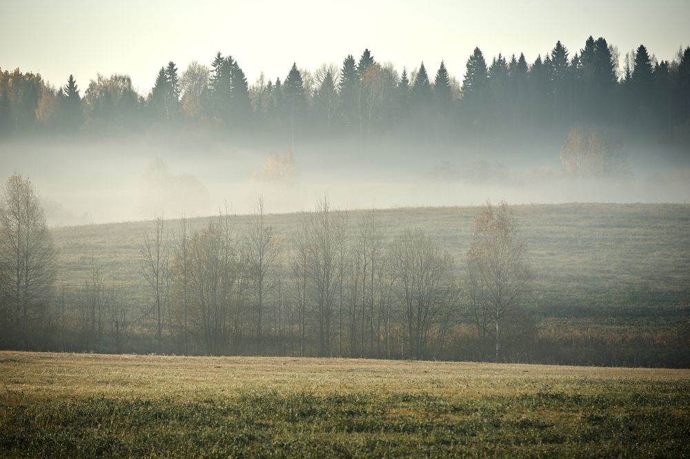 Photograph by Константин Зернов