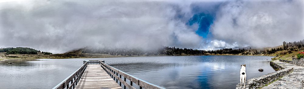 Фотография автора Rodolfo Pimentel