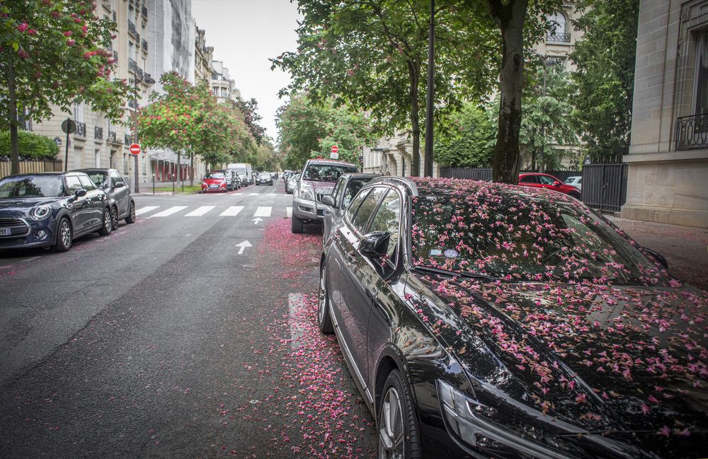 Photograph by Игорь Квочка