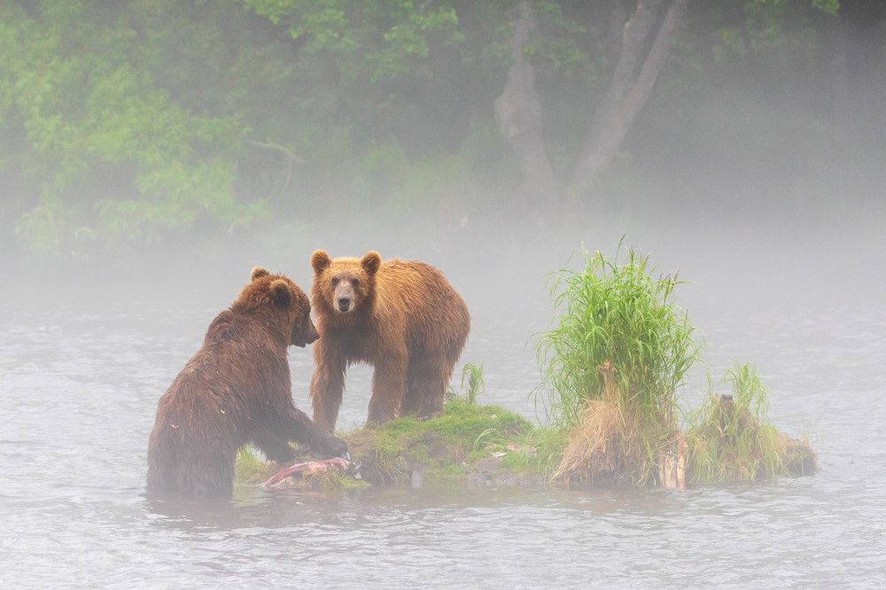 Photograph by Elena Levi