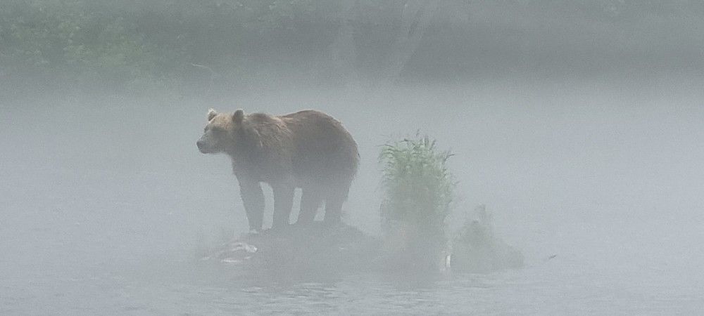 Photograph by Elena Levi