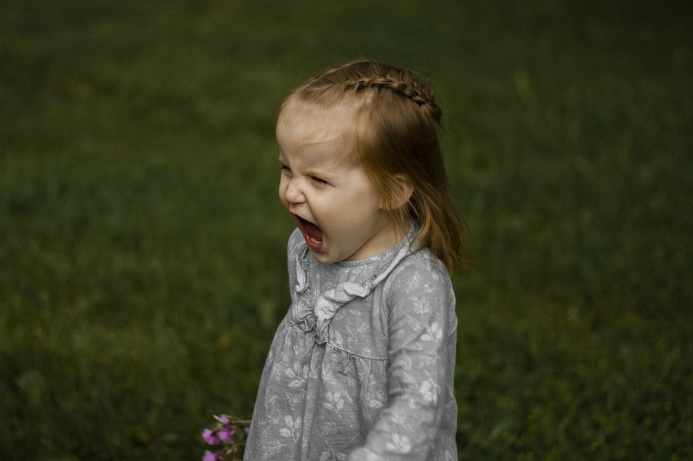 Photograph by Евгения Логинова