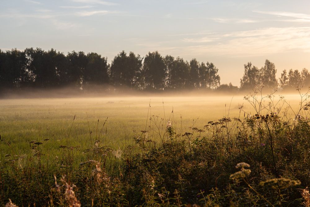 Photograph by Svetlana Degtyareva