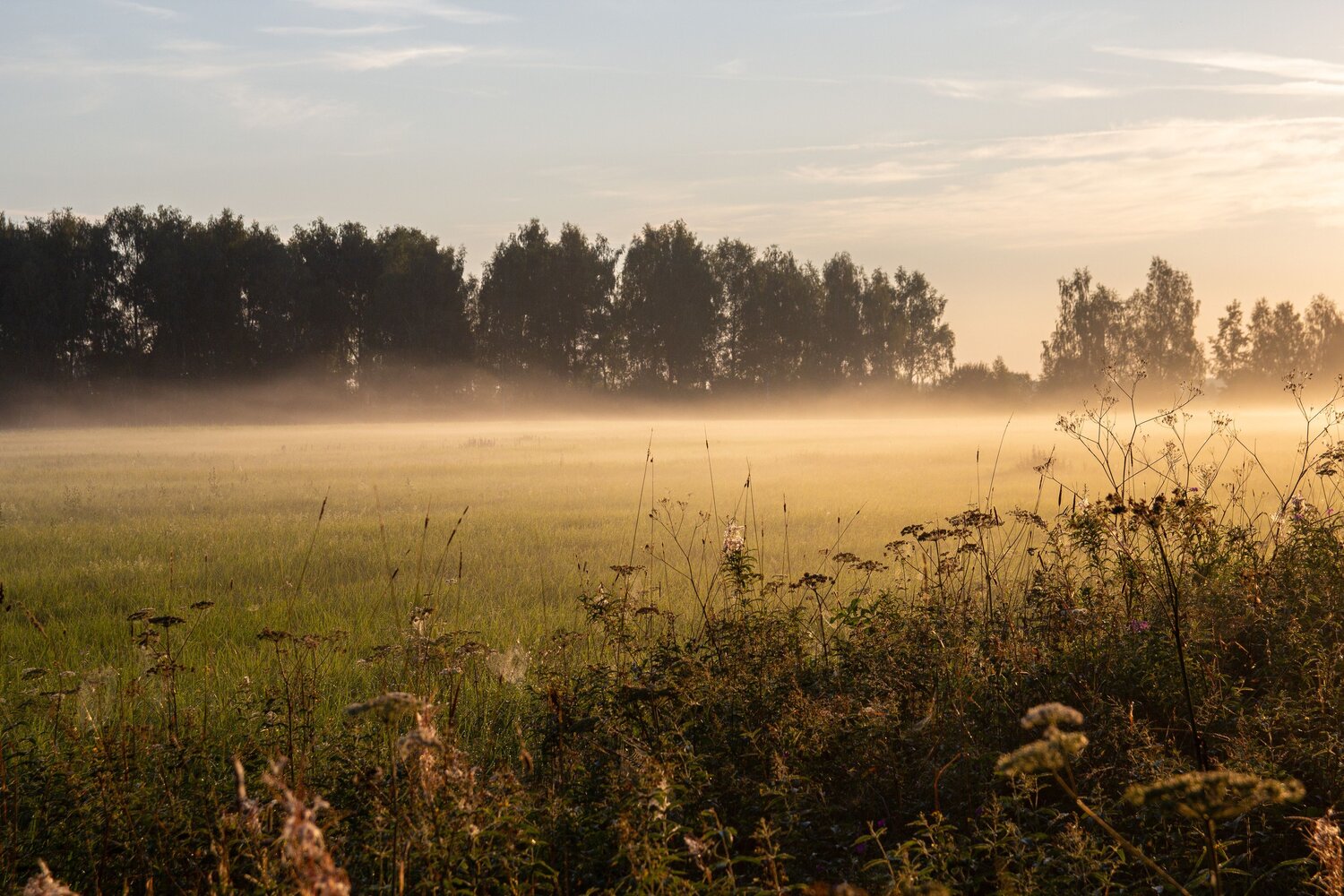 Photo #9338890