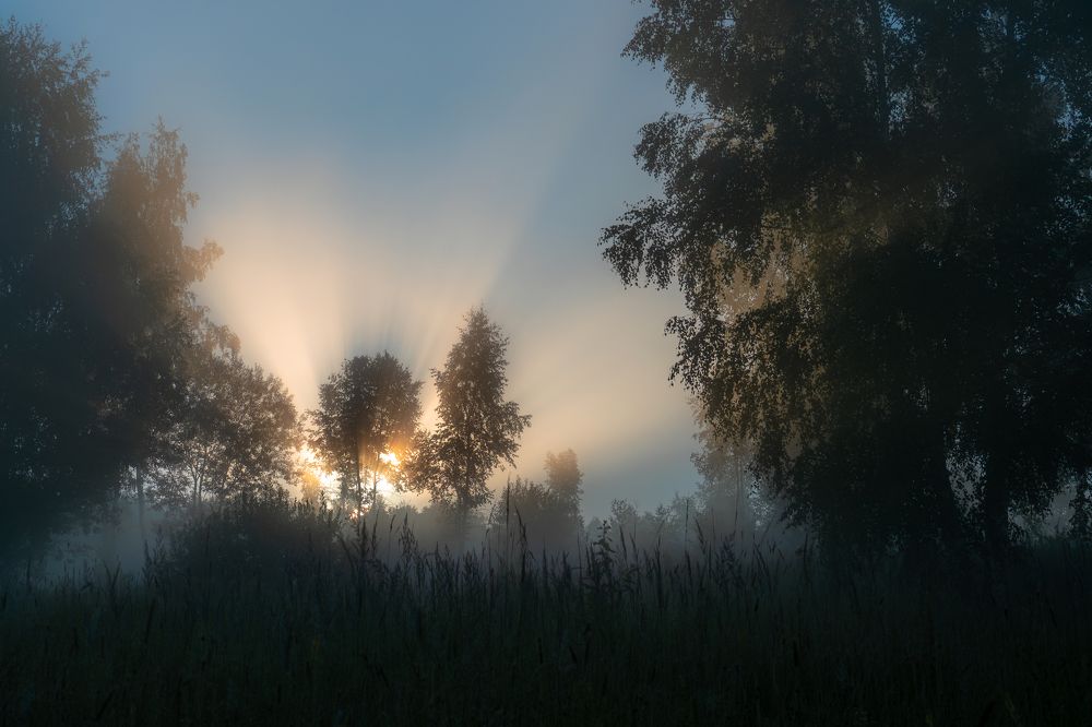 Таинственное утро