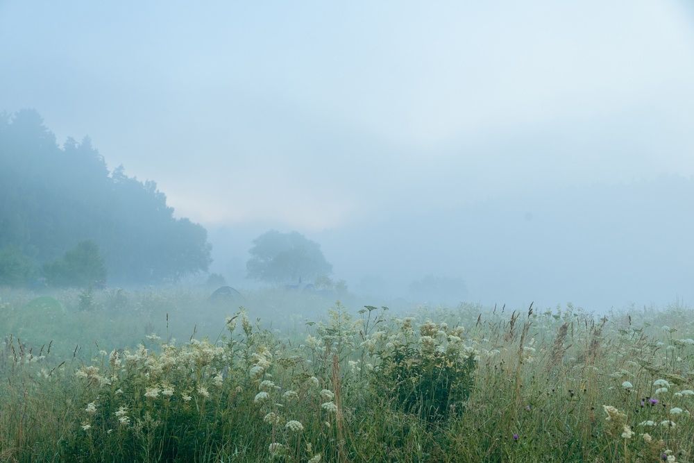 Photograph by Natalie Lamm