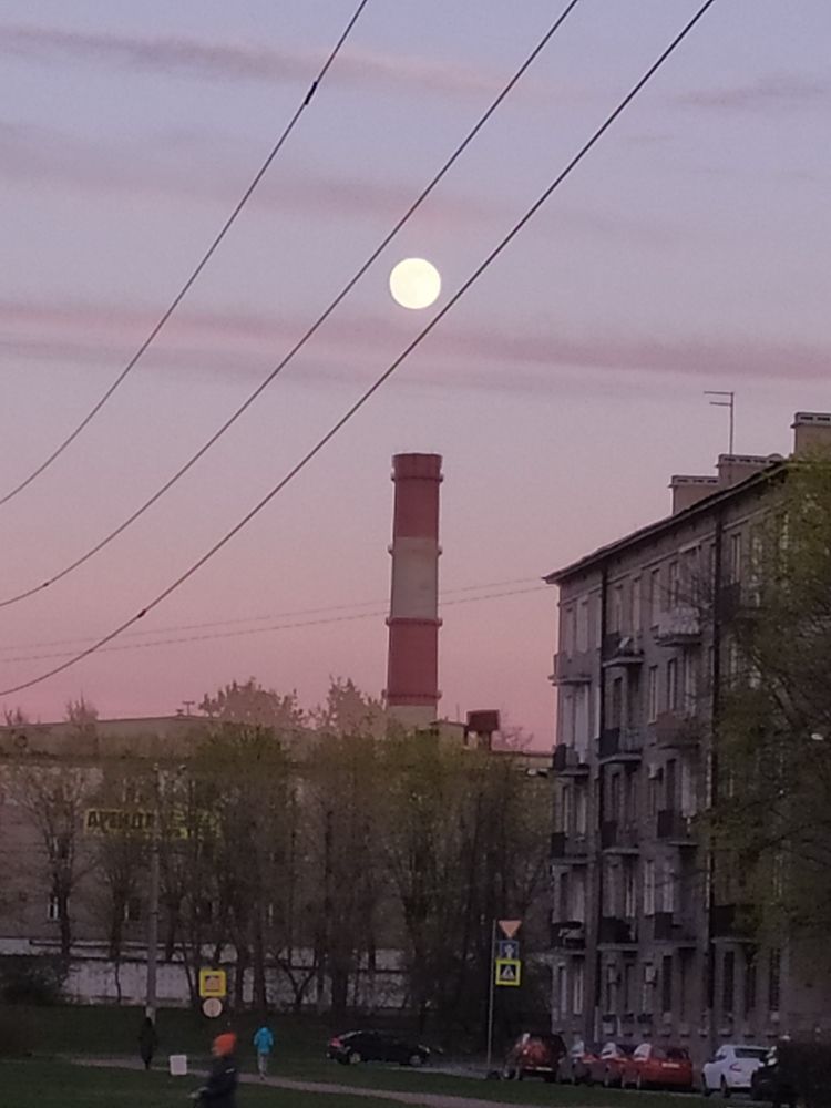 Photograph by Olga Kot