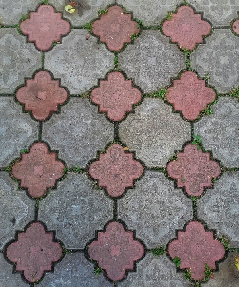 Фотография автора Виталий Дузь