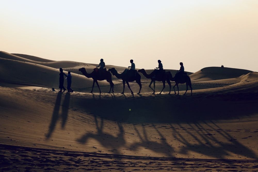 Photograph by Ольга Одаренко