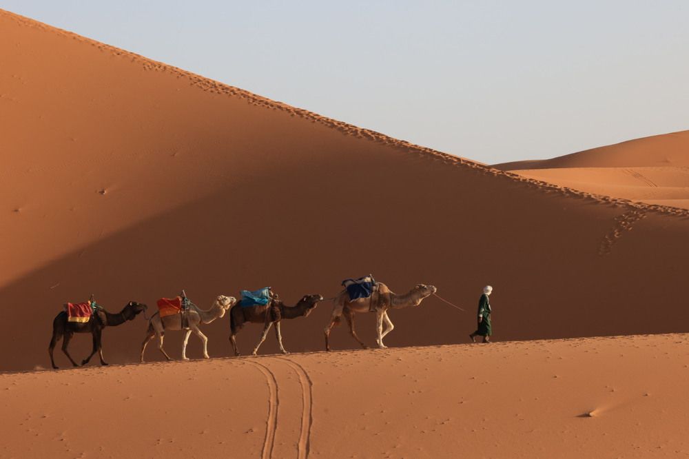 Photograph by Ольга Одаренко