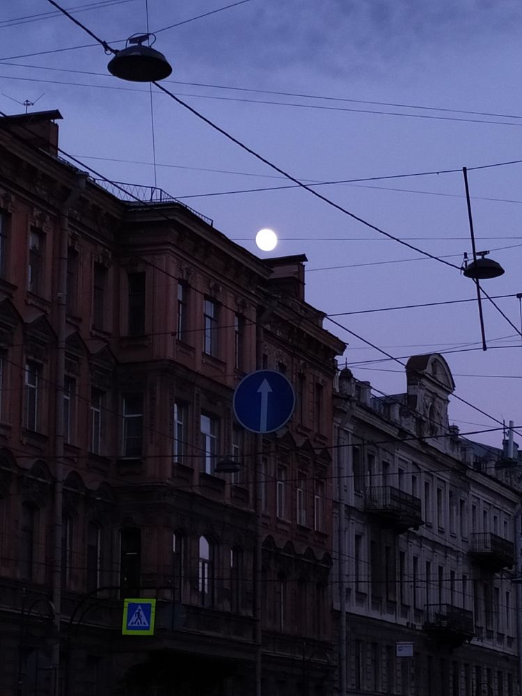 Photograph by Olga Kot