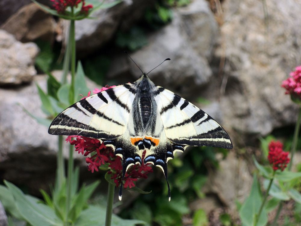 Photograph by Екатерина Крючкова