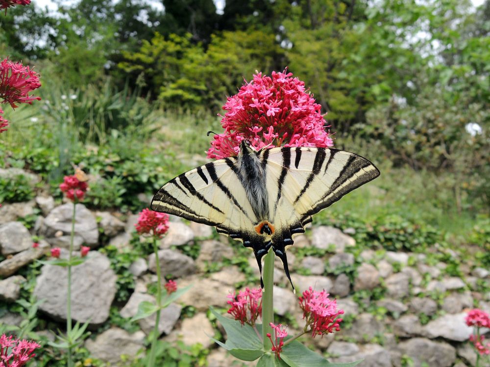 Photograph by Екатерина Крючкова