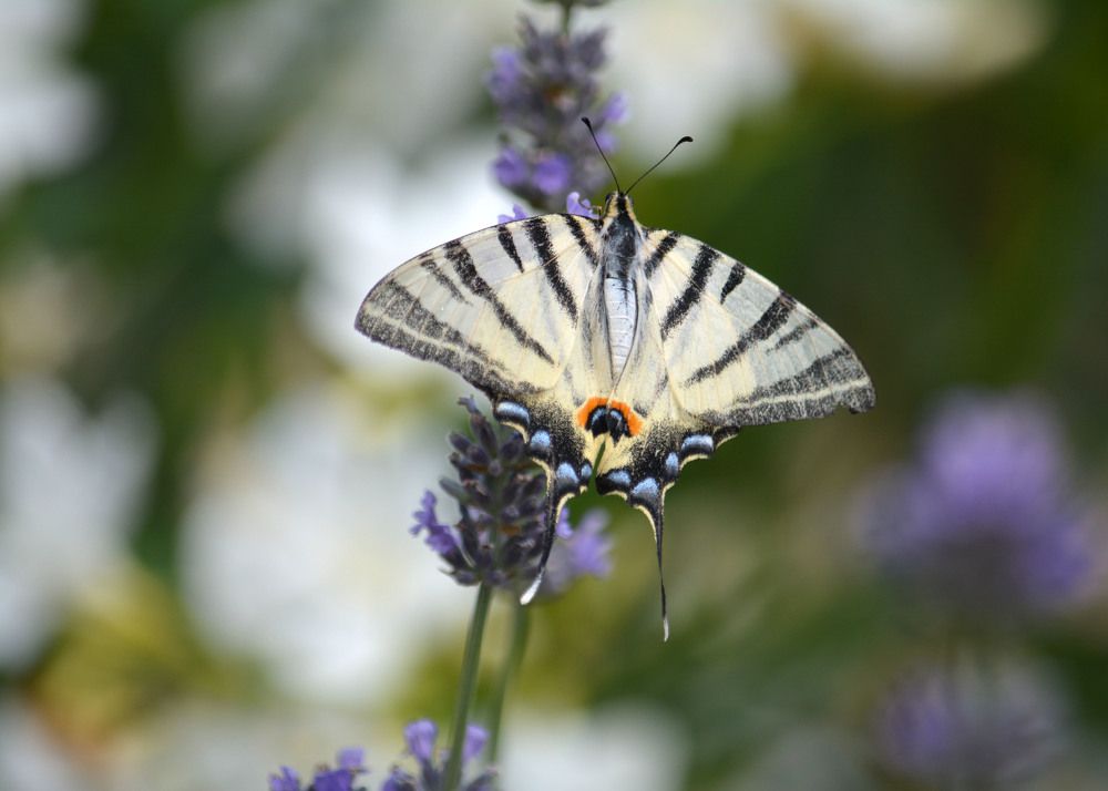 Photograph by Екатерина Крючкова