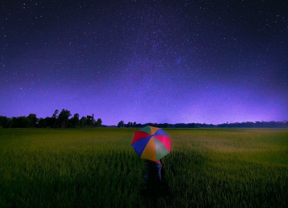 Фотография автора PRADIPTAMOY PAUL