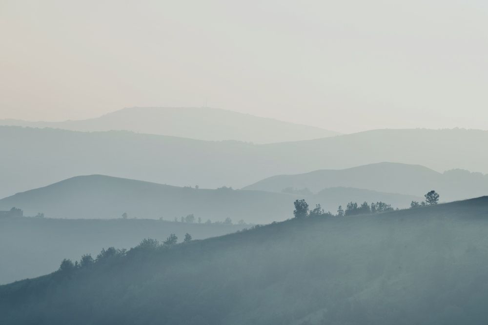 Photograph by Diana Karp