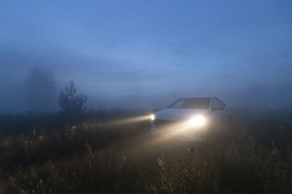 Photograph by Игорь Сапронов