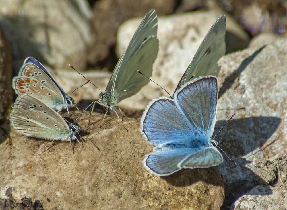 Photograph by Савчук Сергей