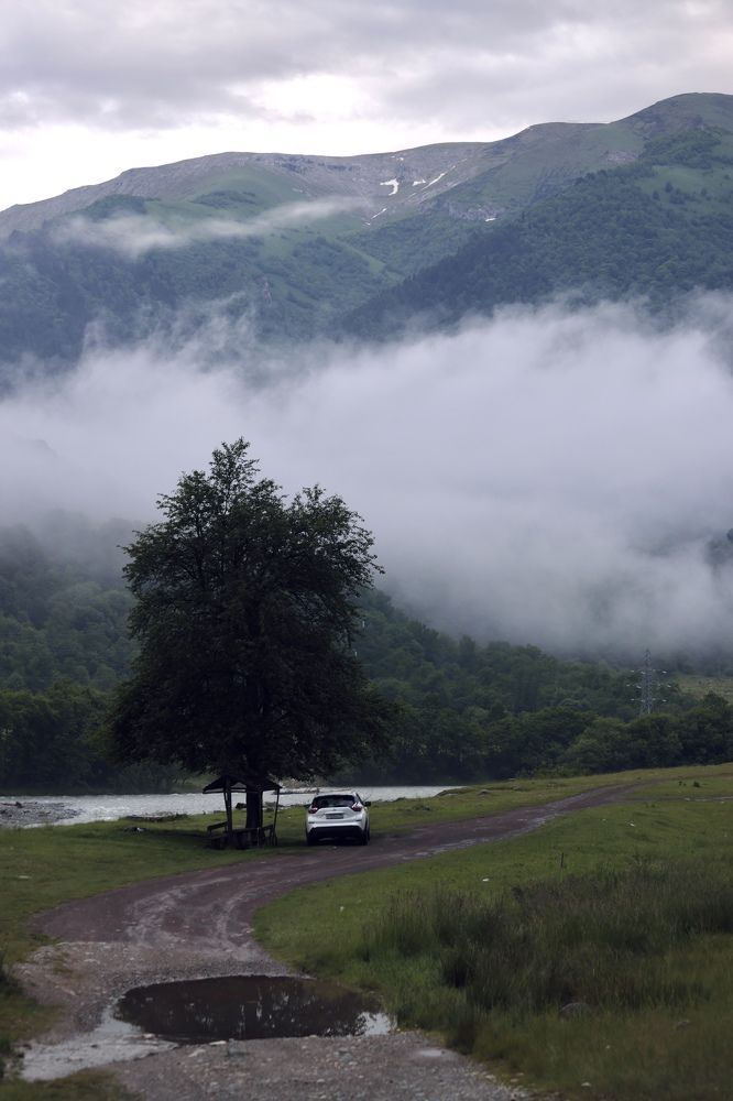 Photograph by Diana Karp