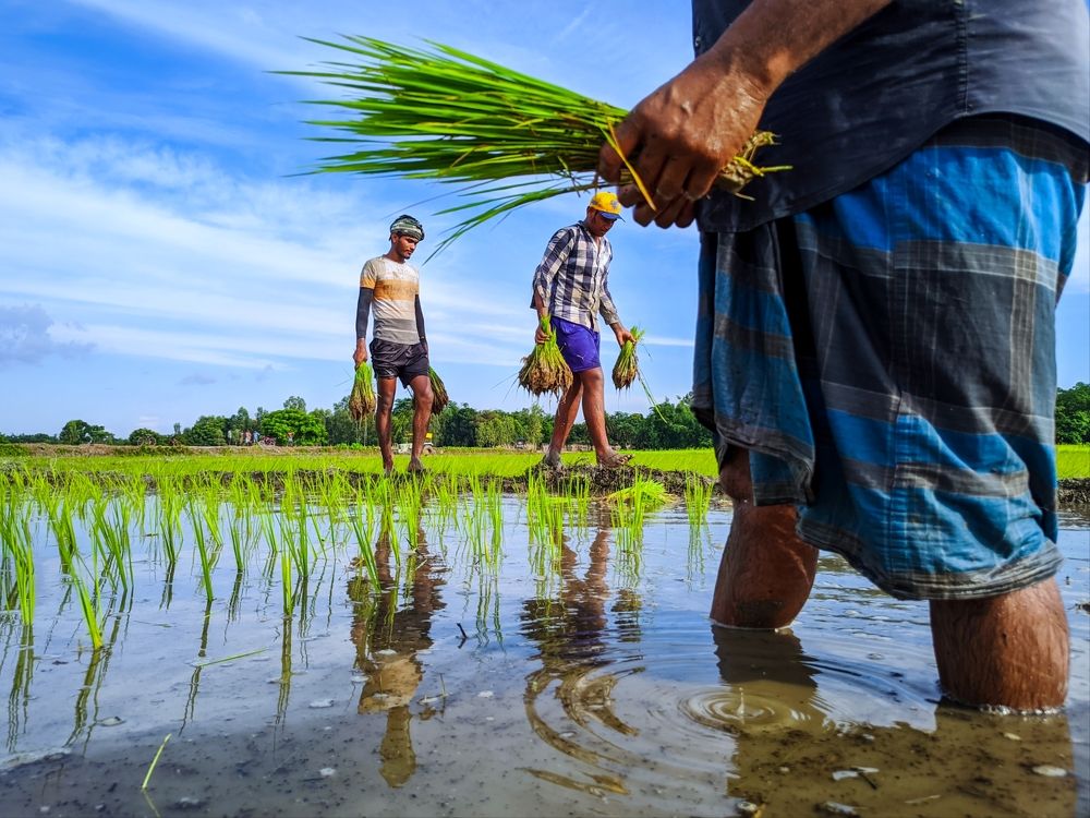 Фотография автора PRADIPTAMOY PAUL