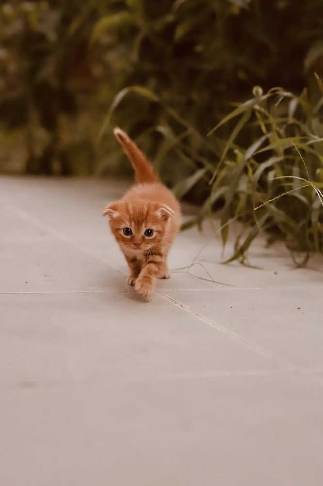 Photograph by Анастасия Инан