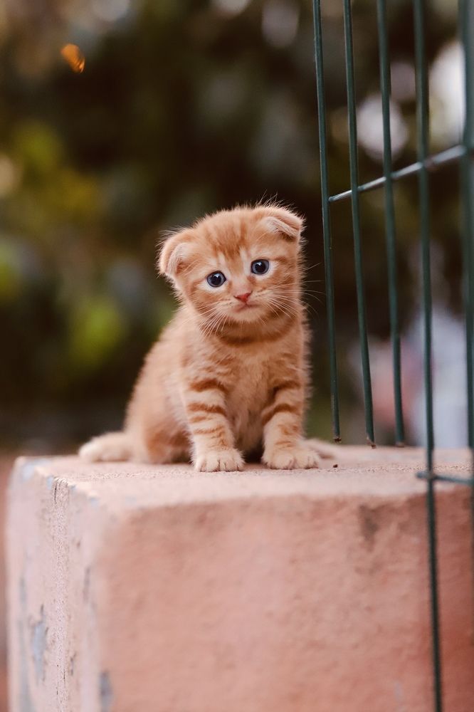 Photograph by Анастасия Инан