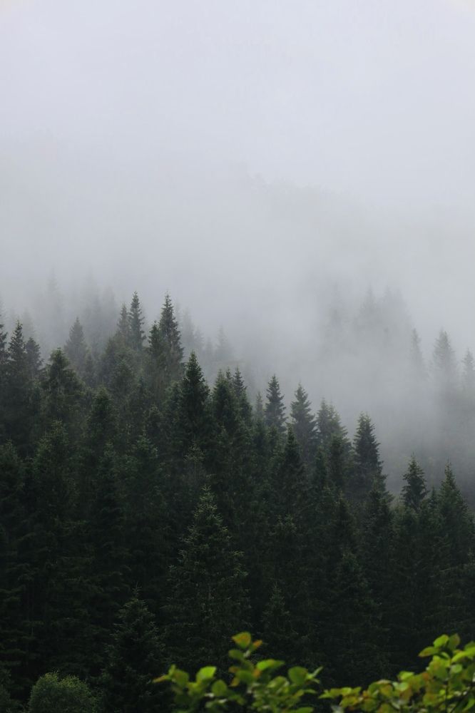 Photograph by Наталья Посашко