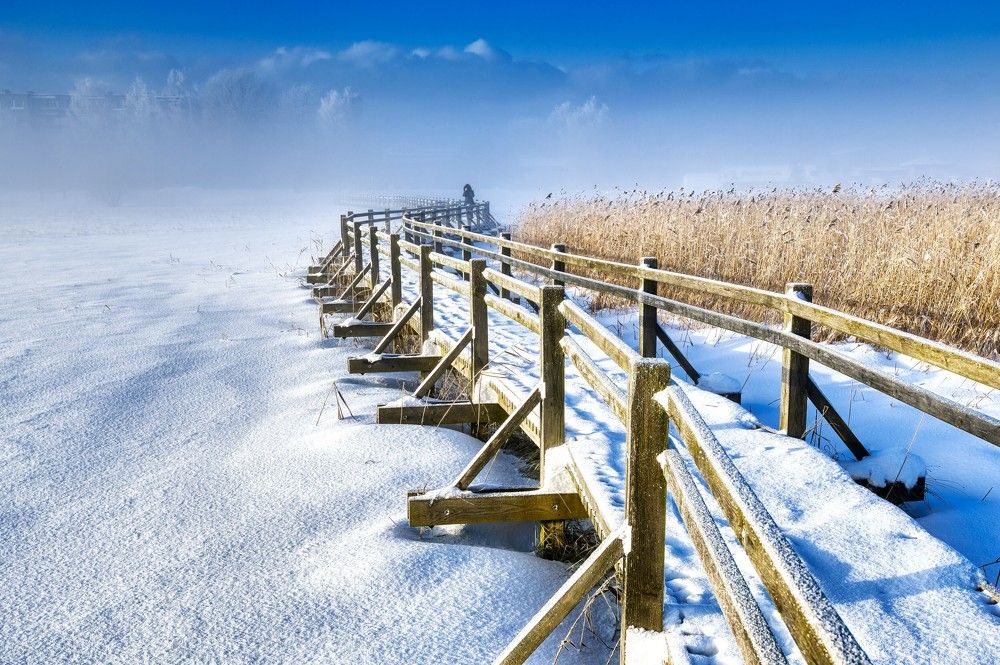 Photograph by Janis Serdienis