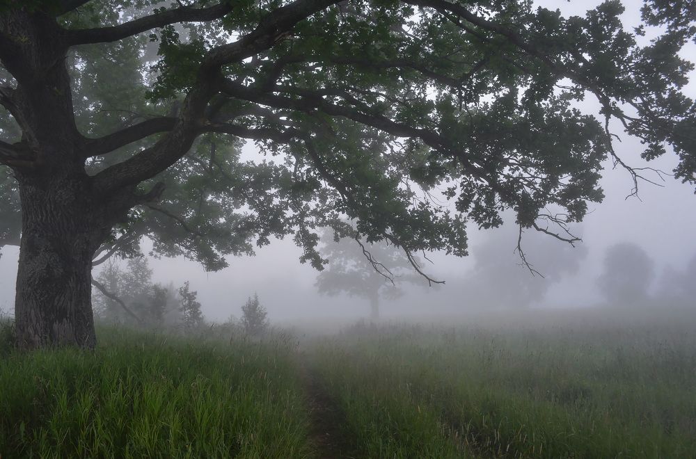 Седое утро.
