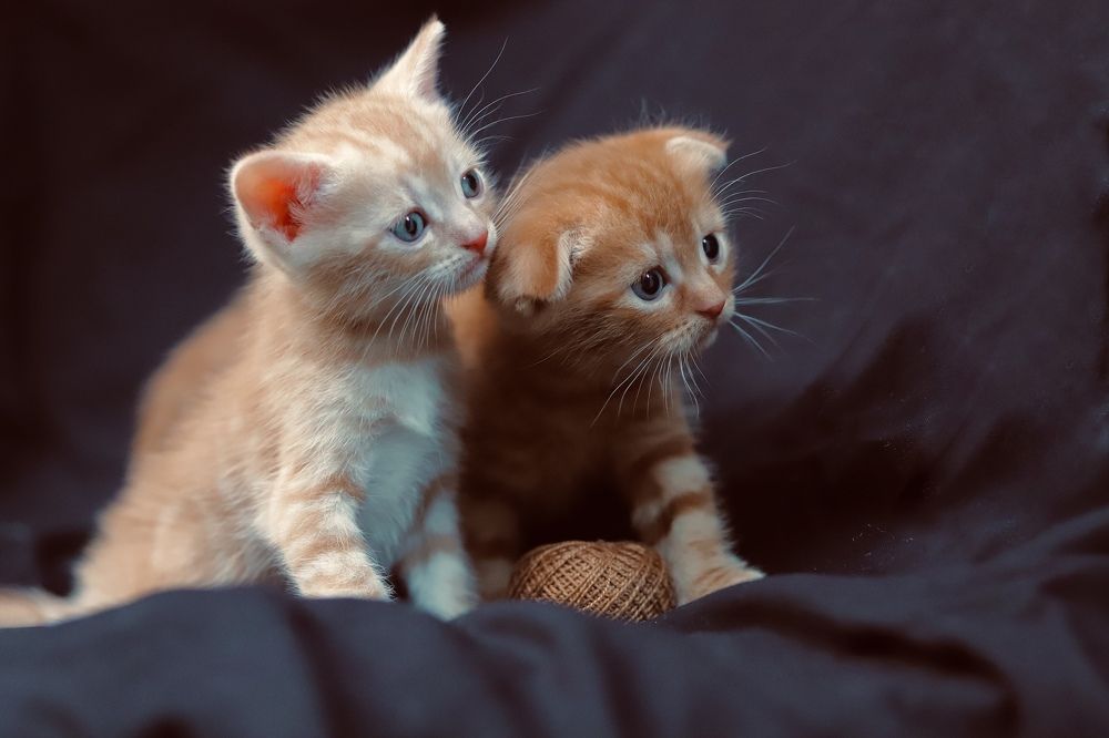 Photograph by Анастасия Инан