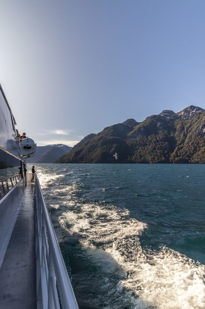 Фотография автора Carolina Noir