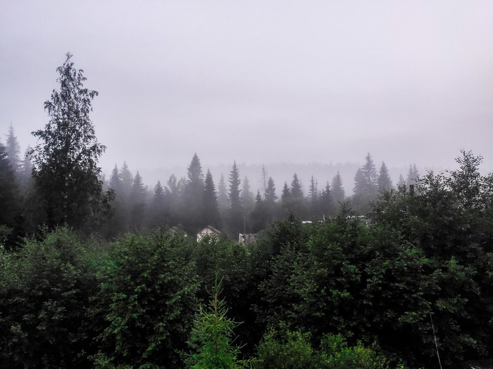 Photograph by Надежда Сидорова