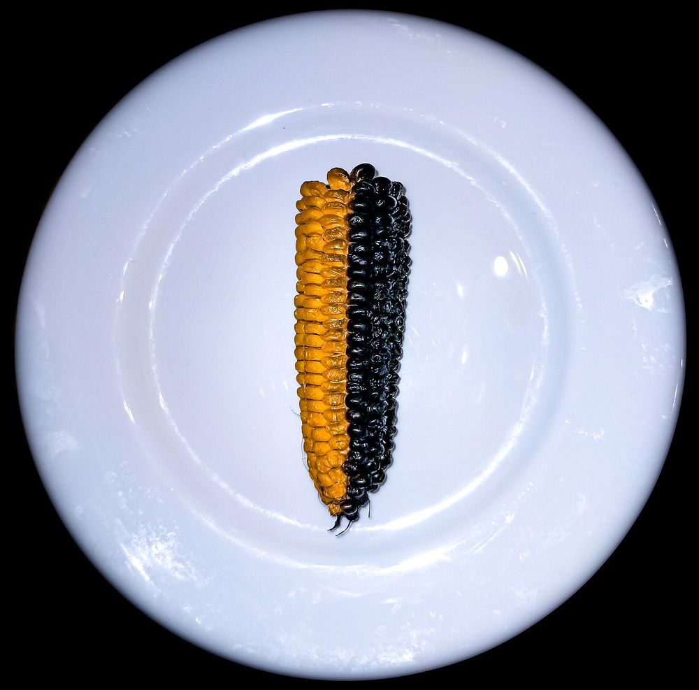 Фотография автора Дмитрий Лебедь