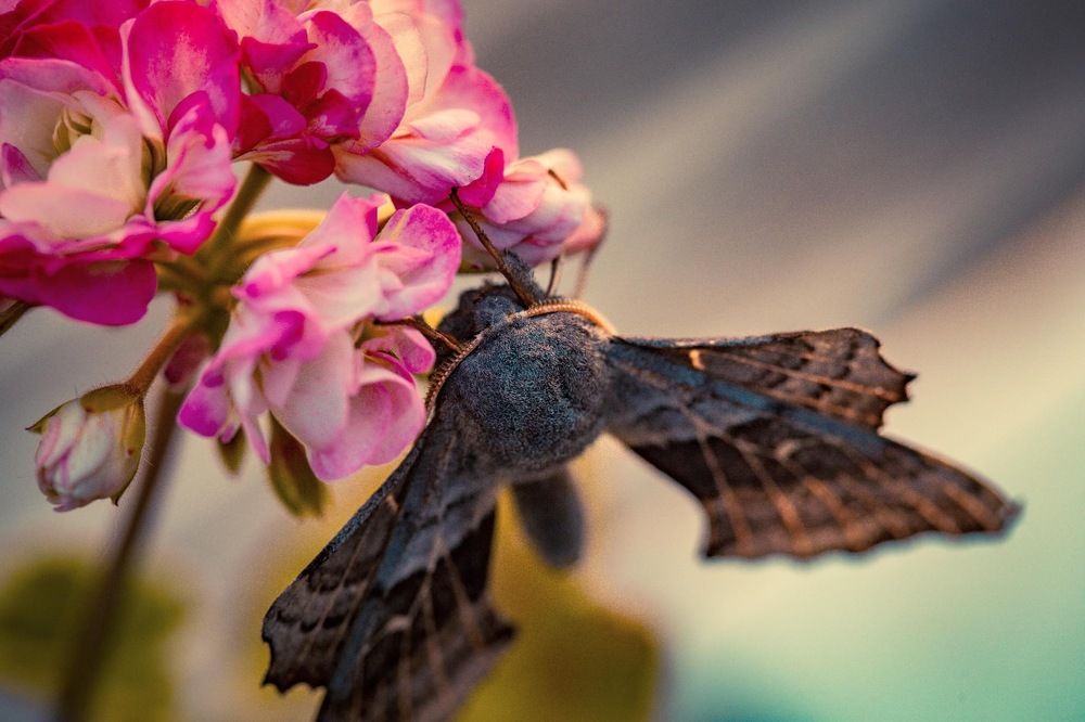 Фотография автора Jana Treija