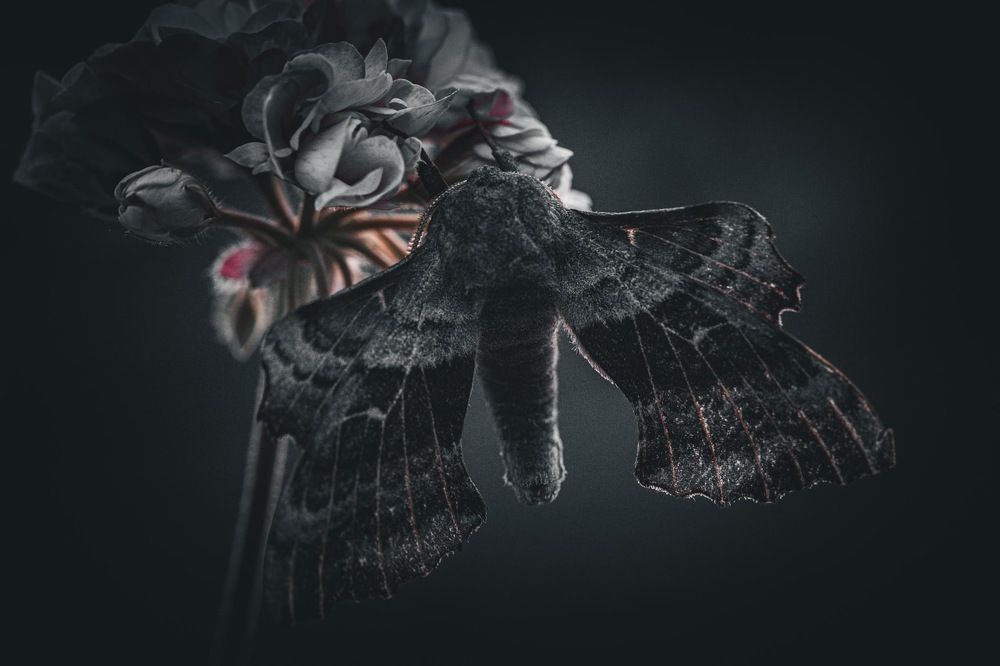 Фотография автора Jana Treija