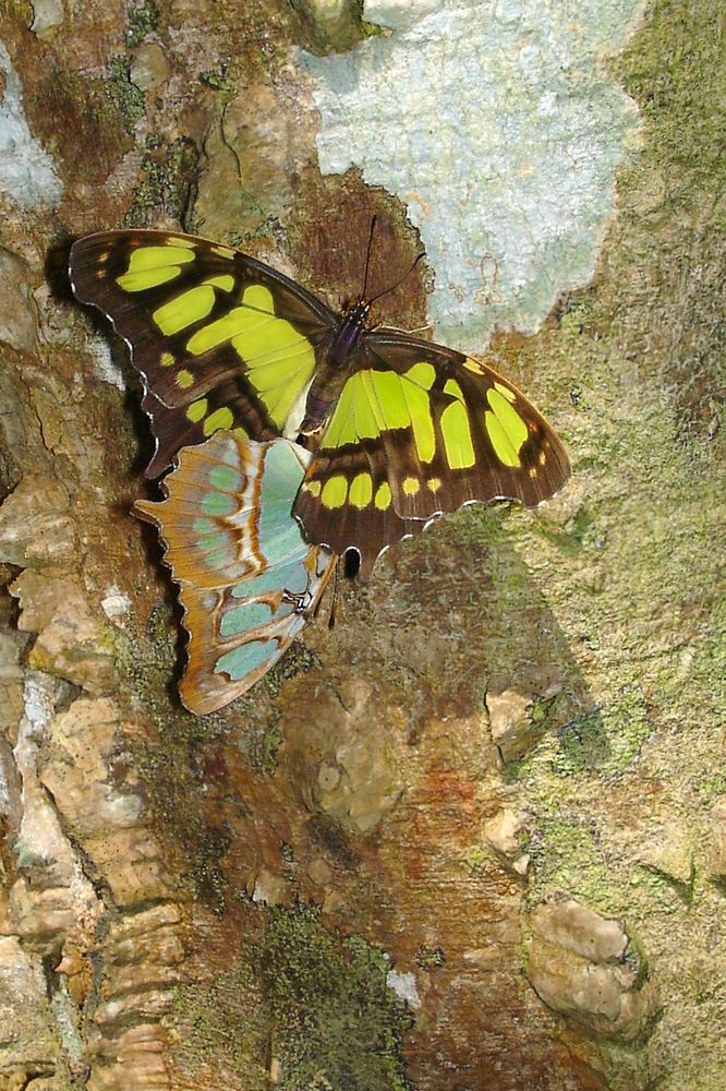 Photograph by Luisa Martina Hernández