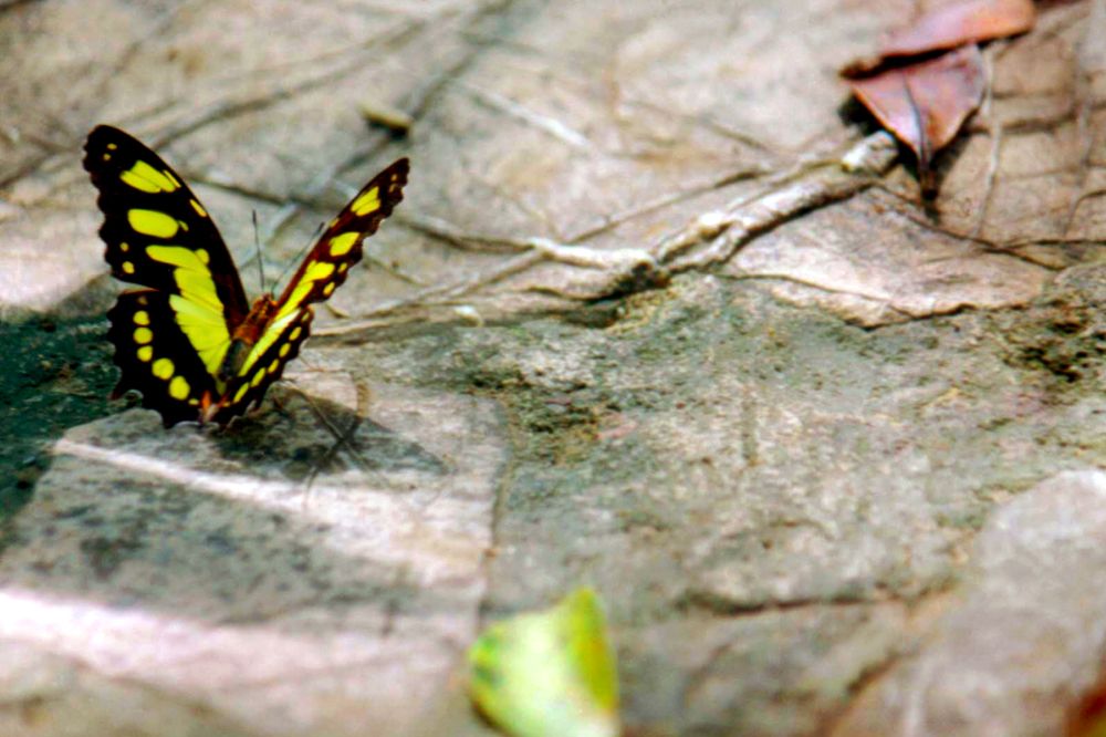 Photograph by Luisa Martina Hernández