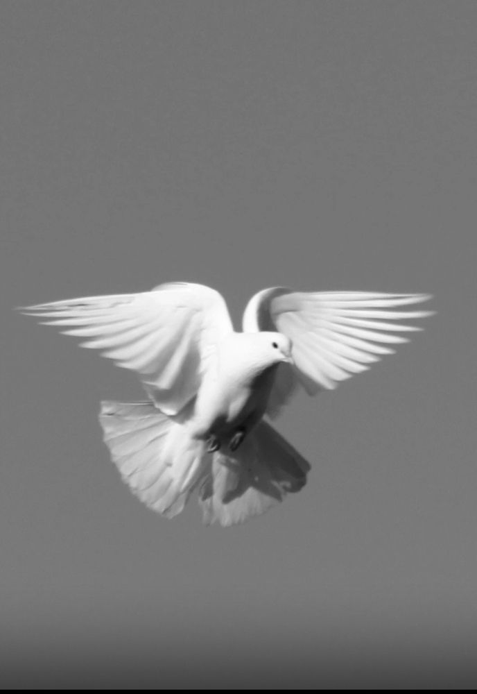 Photograph by Ирина Тихая