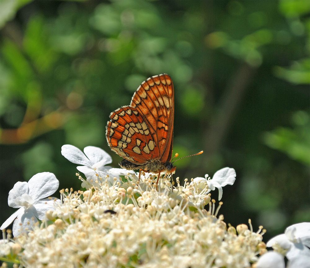 Photograph by Алексей