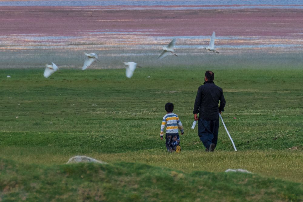 Photograph by sadegh alavi