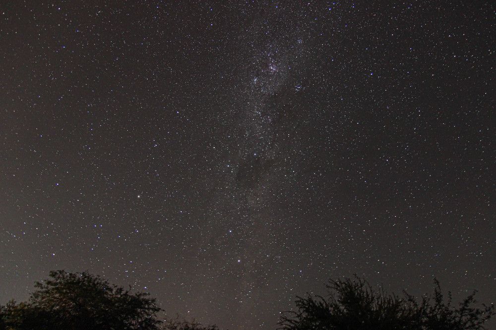 Photograph by Janaina Nunes