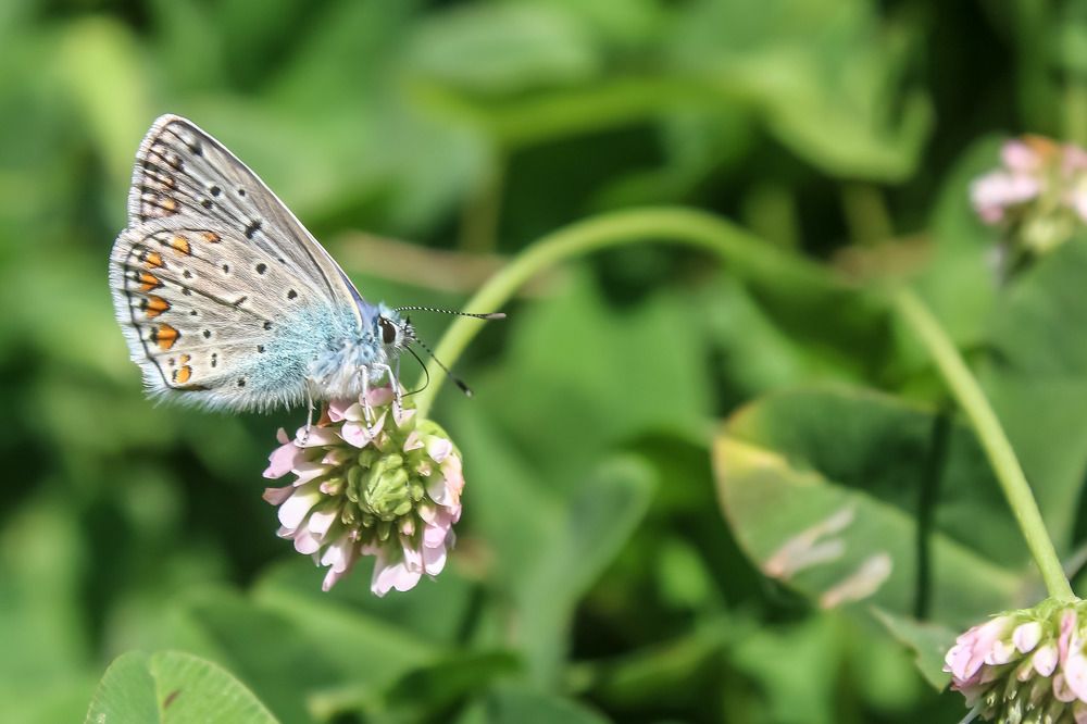 Photograph by Hell Boy