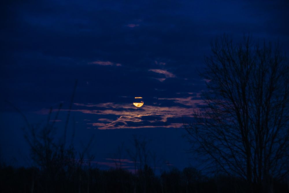 Фотография автора Виктор Конев