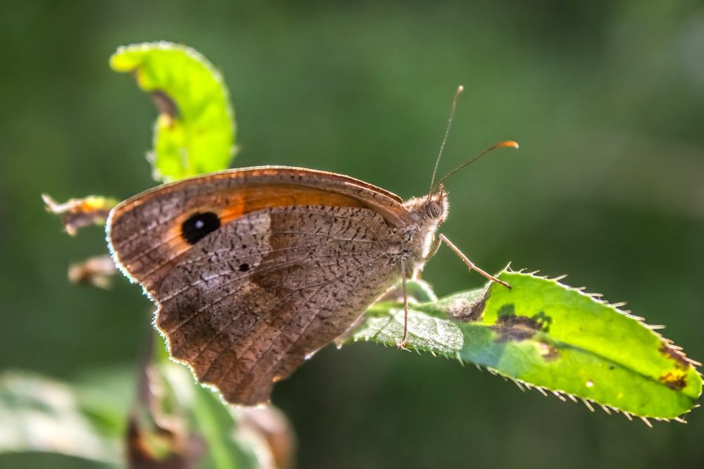 Photograph by Hell Boy