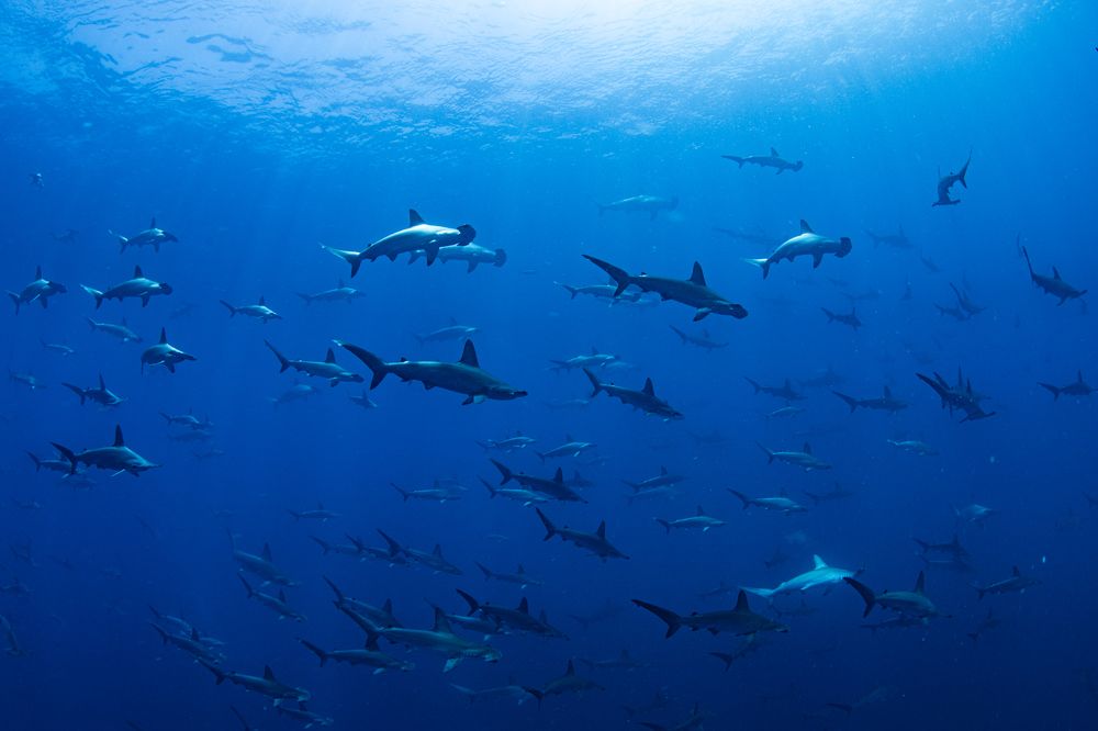 Photograph by HITOMI TSUCHIYA