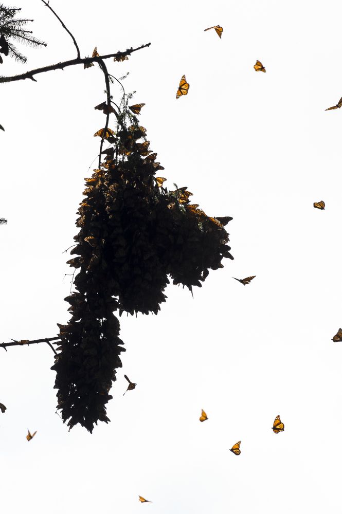 Photograph by Yamile Alfaro Picco