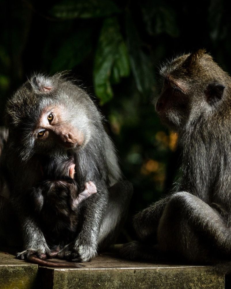 Photograph by Могилевич Elena